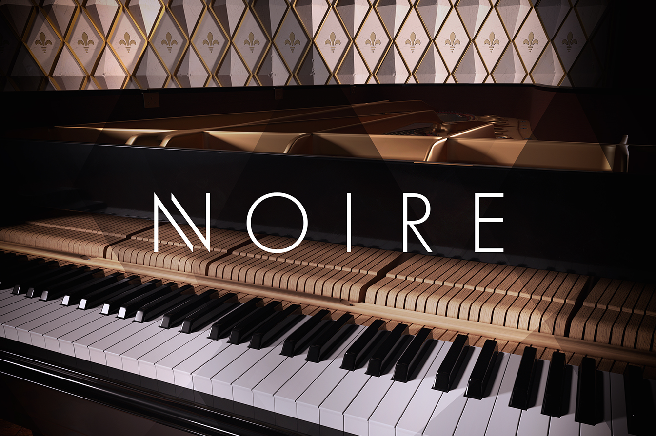 Product artwork for Native Instruments' and Nils Frahm's Grand Piano sound library "Noire" by Yvonne Hartmann